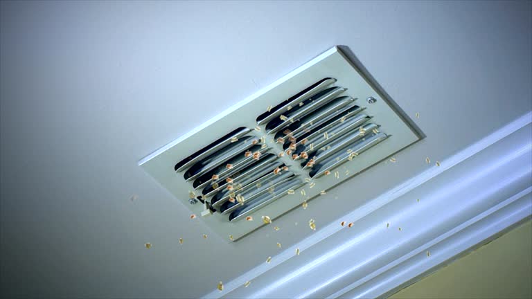 Best Local Air Duct Cleaning Services  in Camp Springs, MD
