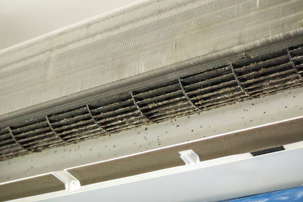 Best Affordable HVAC Duct Cleaning  in Camp Springs, MD